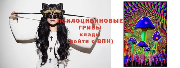 винт Алексеевка