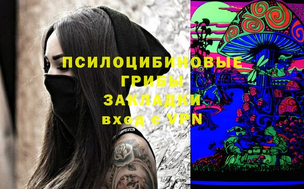 эйфоретик Алексин
