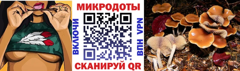 наркотики Алупка ОМГ ОМГ сайт Галлюциногенные грибы Psilocybe